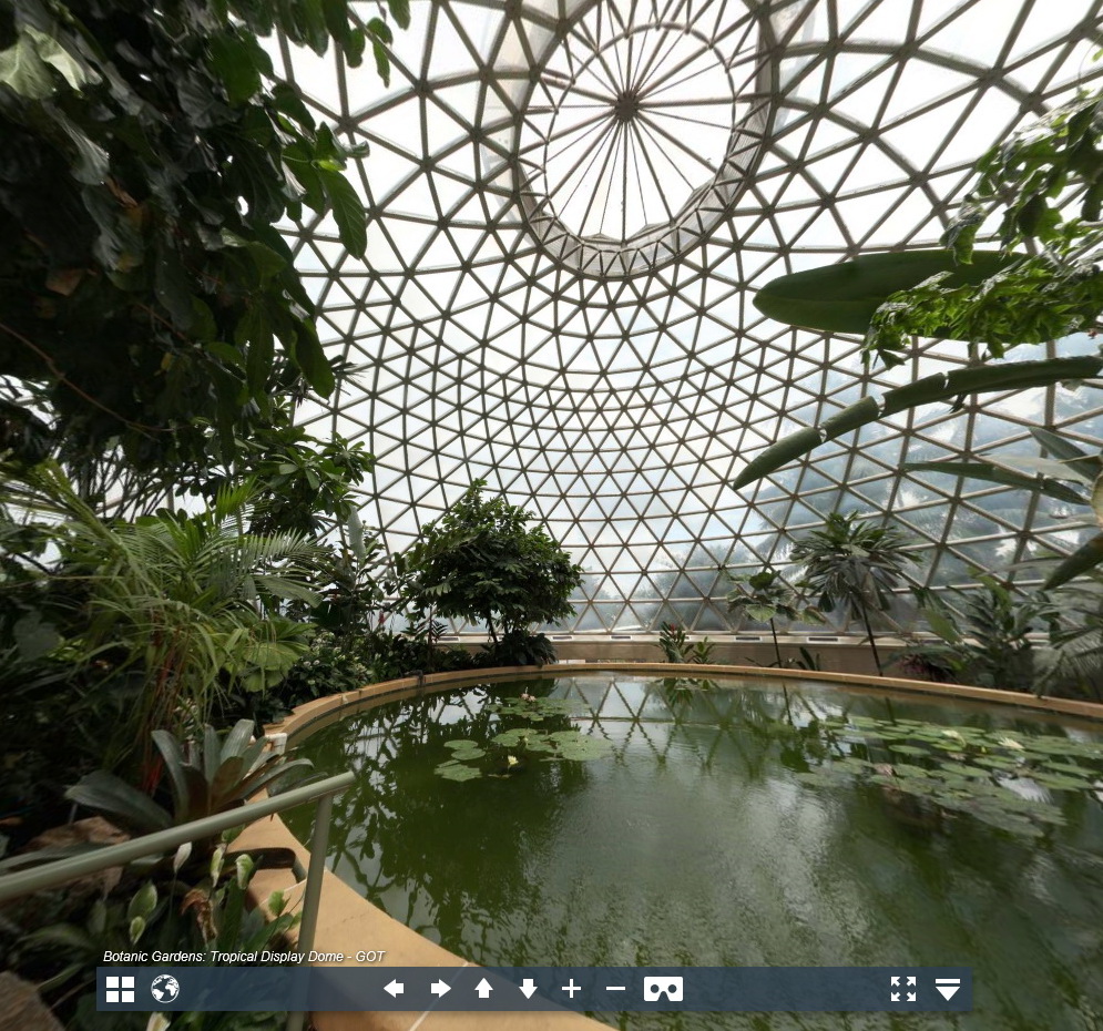 Botanical dome study preview